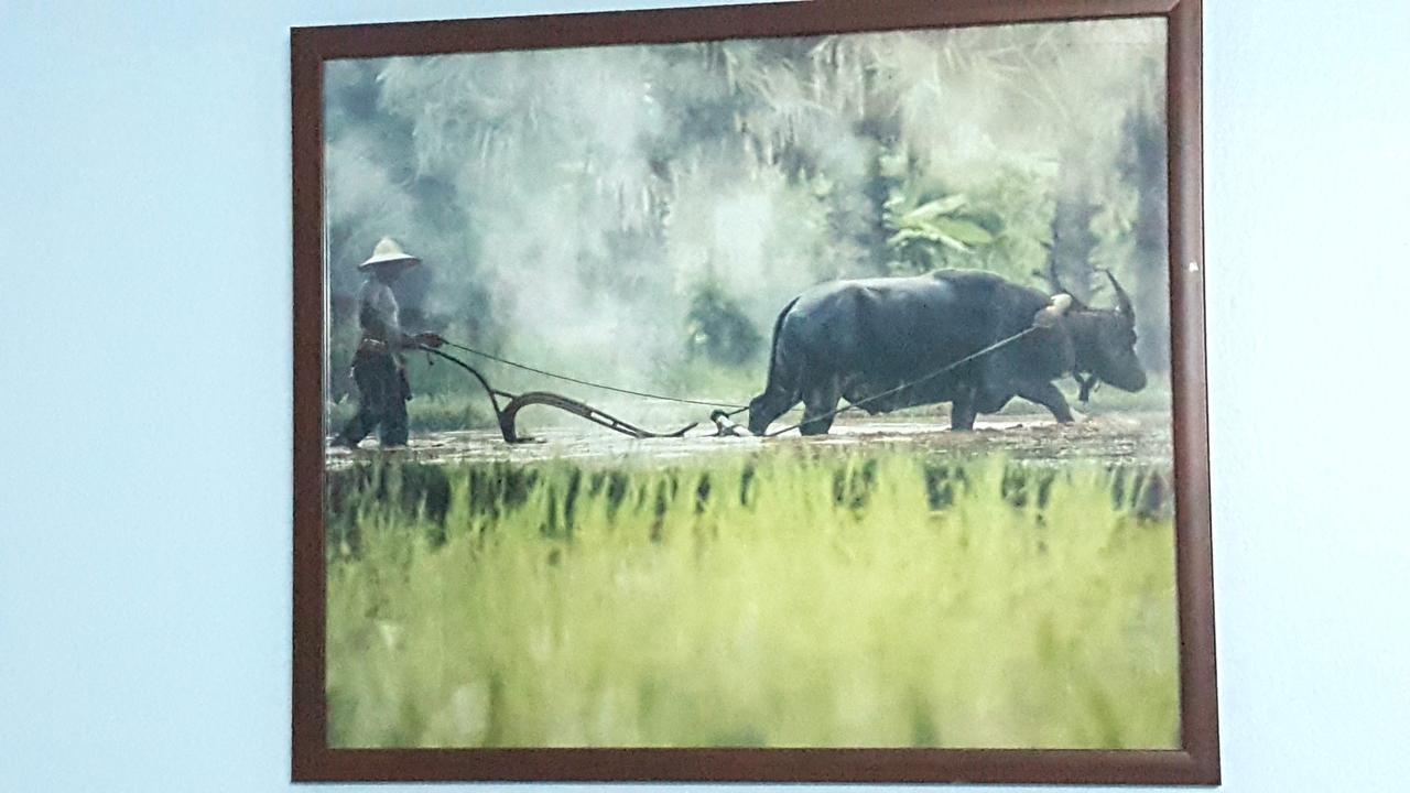 邦美尼公寓 曼谷 外观 照片